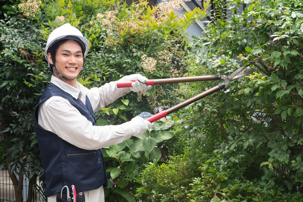 くらしのマーケットで草刈りを依頼する方法